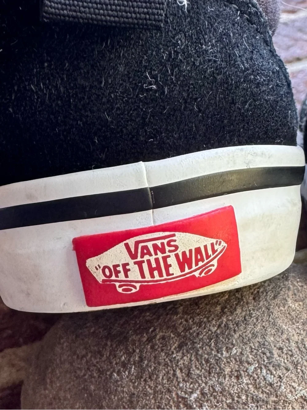 Vans kids velcro